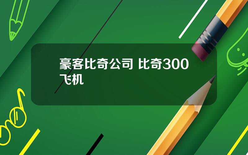 豪客比奇公司 比奇300飞机